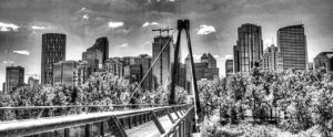 Calgary-Rayne-Management-Contact